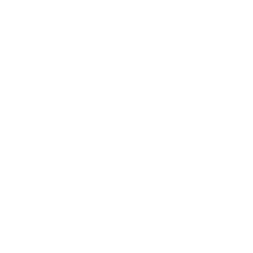 Leitkraft